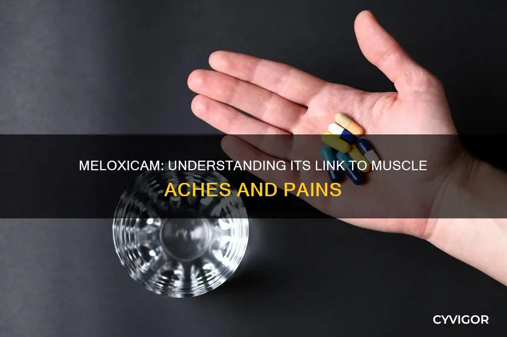 can meloxicam cause muscle aches