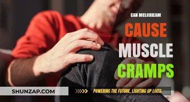 Meloxicam Side Effects: Muscle Cramps Explained