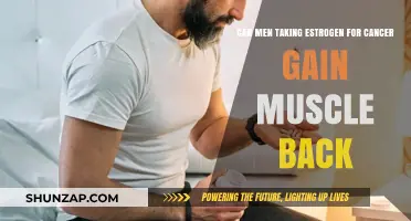 Can Men on Estrogen Therapy Rebuild Muscle After Cancer Treatment?