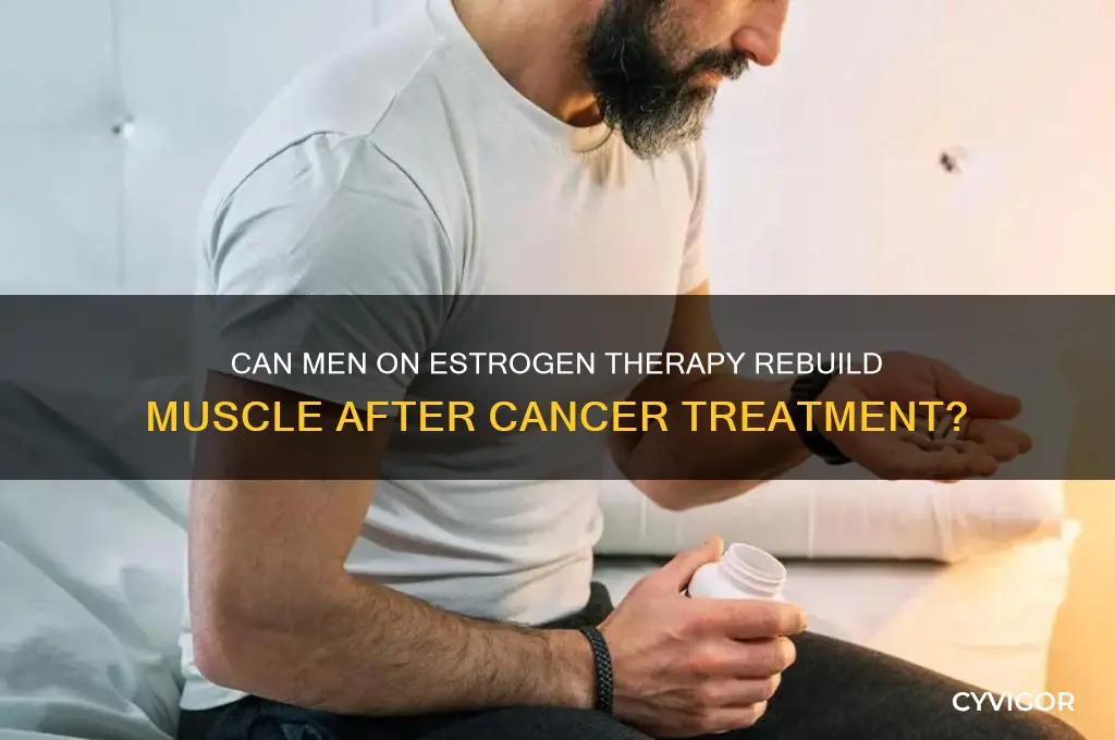 can men taking estrogen for cancer gain muscle back