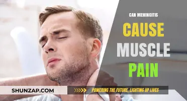 Meningitis and Muscle Pain: What's the Link?