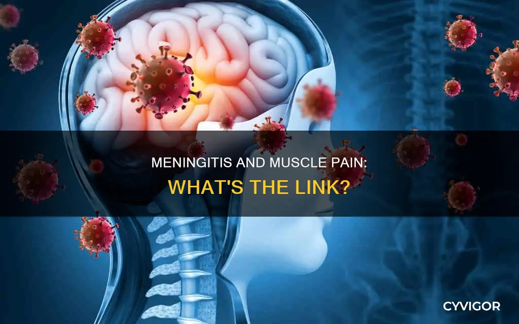 can meningitis cause muscle pain