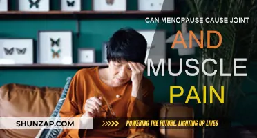 Menopause and Joint Pain: What's the Link?