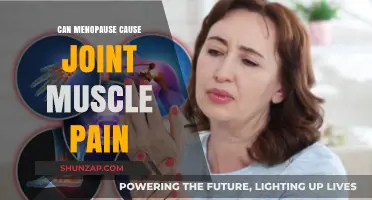 Menopause and Joint Pain: What's the Link?