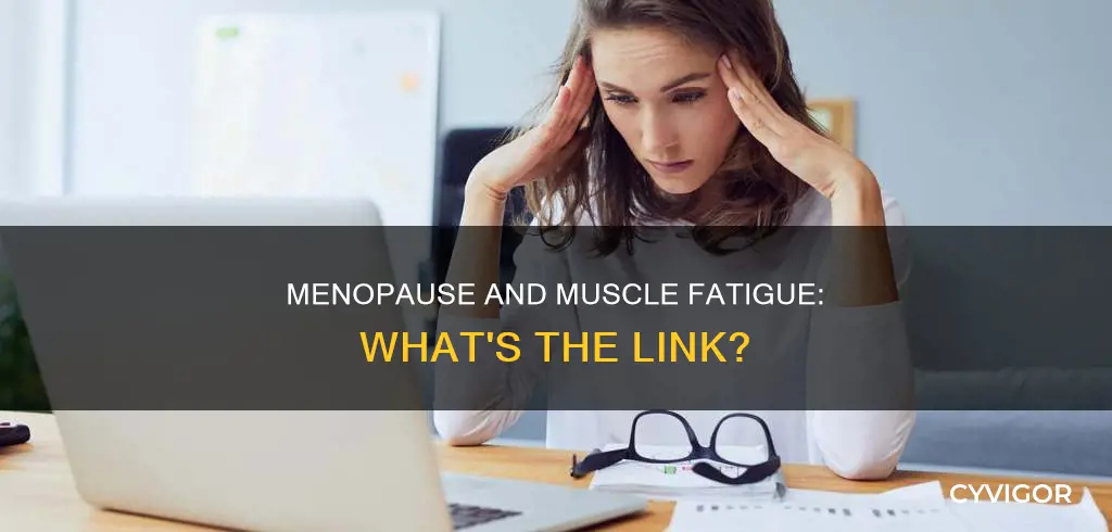 can menopause cause muscle fatigue