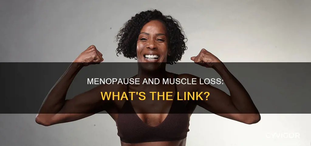 can menopause cause muscle loss