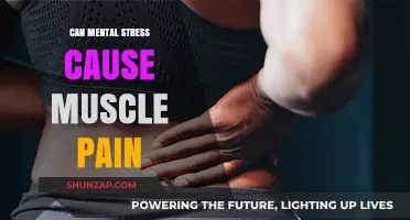 Stress and Muscle Pain: The Mind-Body Connection