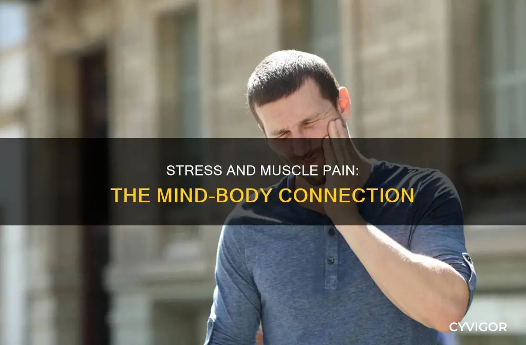 can mental stress cause muscle pain