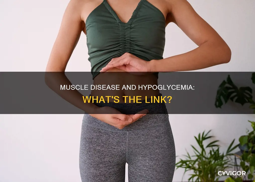 can metabolic muscle disease cause hypoglycemia