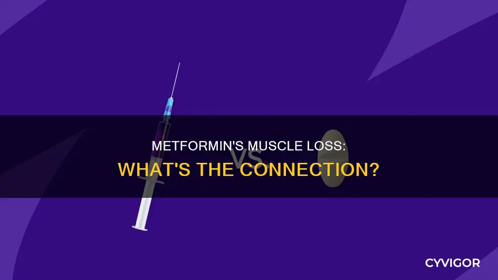 can metformin cause muscle loss