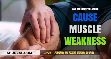 Methamphetamine: A Path to Muscle Weakness?