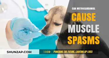 Methocarbamol: Understanding Its Link to Muscle Spasms