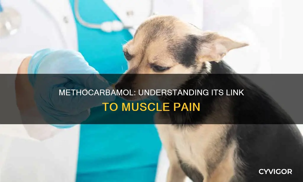 can methocarbomal cause muscle pain