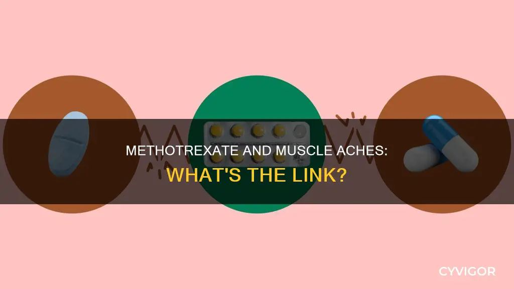 can methotrexate cause muscle aches