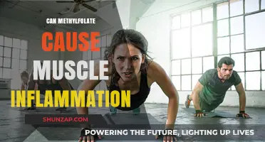 Methylfolate and Muscle Inflammation: Is There a Link?