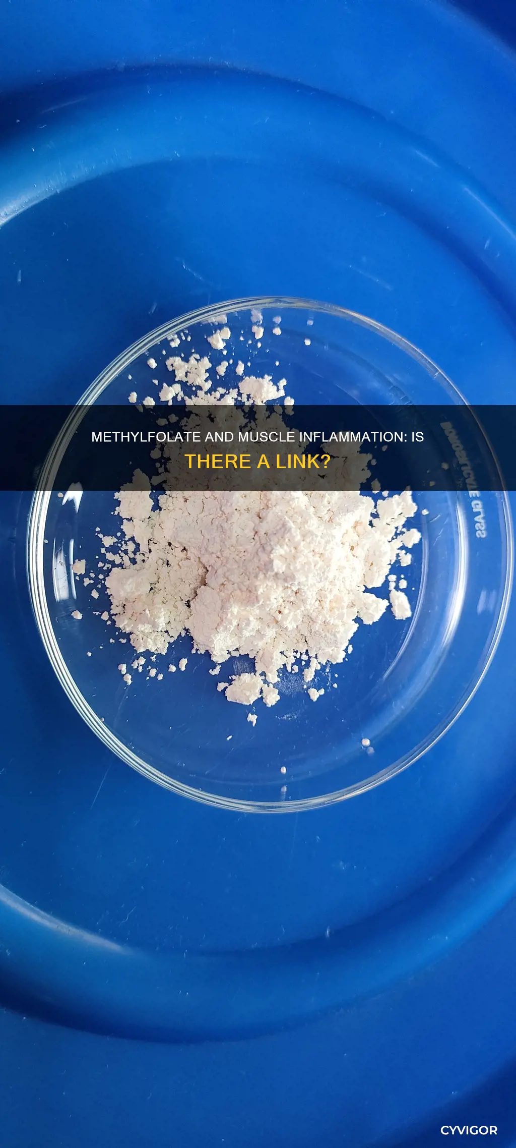 can methylfolate cause muscle inflammation