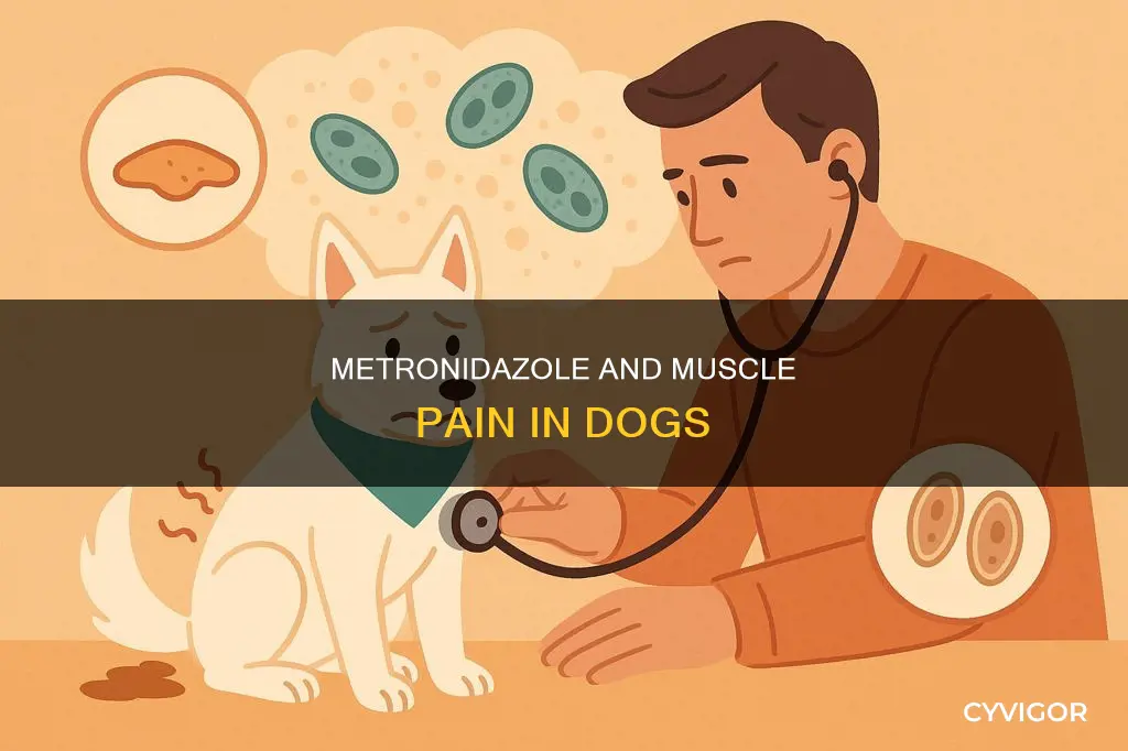 can metronidazole cause muscle pain in dogs