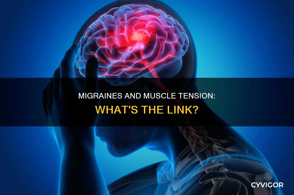 can migraines be caused by muscle tension