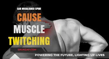 Spinal Alignment: The Cause of Muscle Twitching?