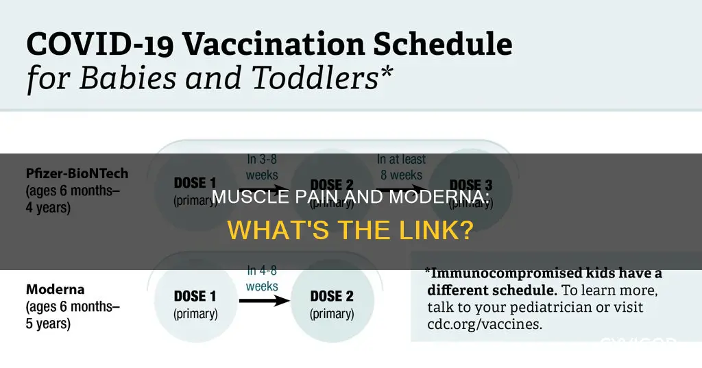 can moderna vaccine cause muscle pain