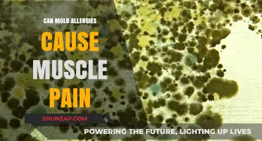 Mold Allergies: Uncovering the Link to Muscle Pain