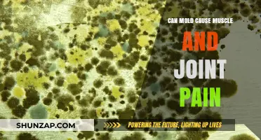 Mold Exposure: Muscle and Joint Pain?
