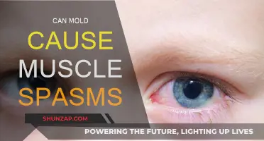 Mold Toxins: The Link to Muscle Spasms