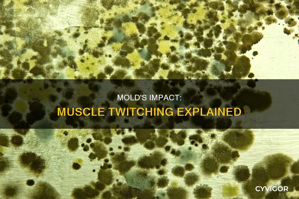 can mold cause muscle twitches