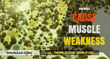Mold's Impact: Muscle Weakness and Chronic Fatigue