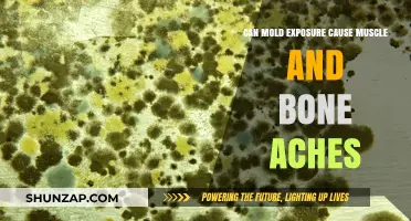 Mold Exposure: Muscle and Bone Aches Explained