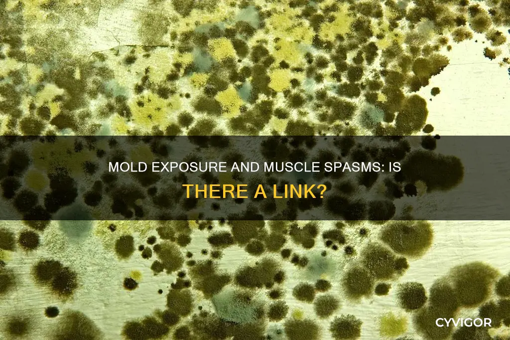 can mold exposure cause muscle spasms