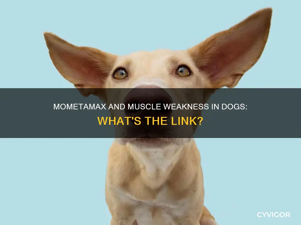 can mometamax cause muscle weakness in dogs