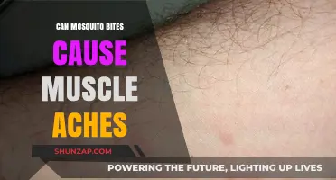 Mosquito Bites: Muscle Aches and Pains Explained