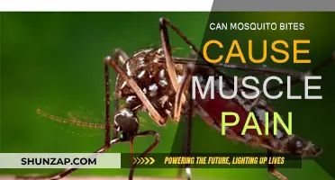 Mosquito Bites: Unseen Muscle Pain Culprit?