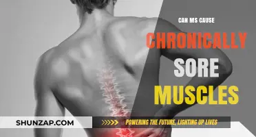 MS Muscle Pain: What's the Link?