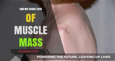 How MS Affects Muscle Mass and Strength