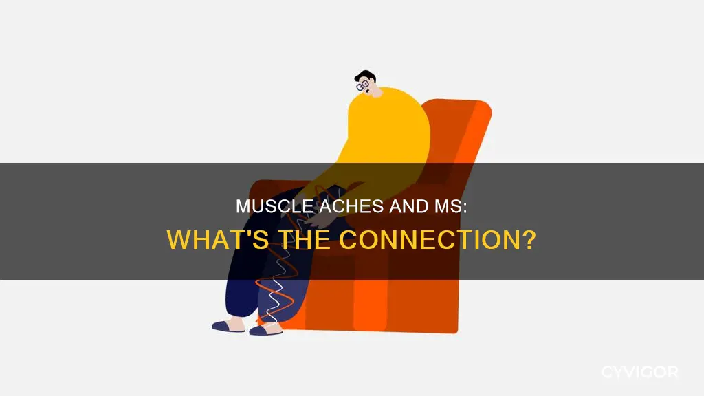 can ms cause muscle aches