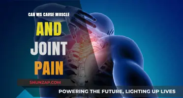 Managing Muscle and Joint Pain with MS
