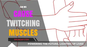 Muscle Twitching and MS: What's the Connection?