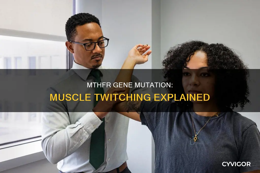 can mthfr cause muscle twitching