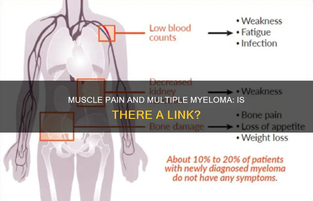 can multiple myeloma cause muscle pain