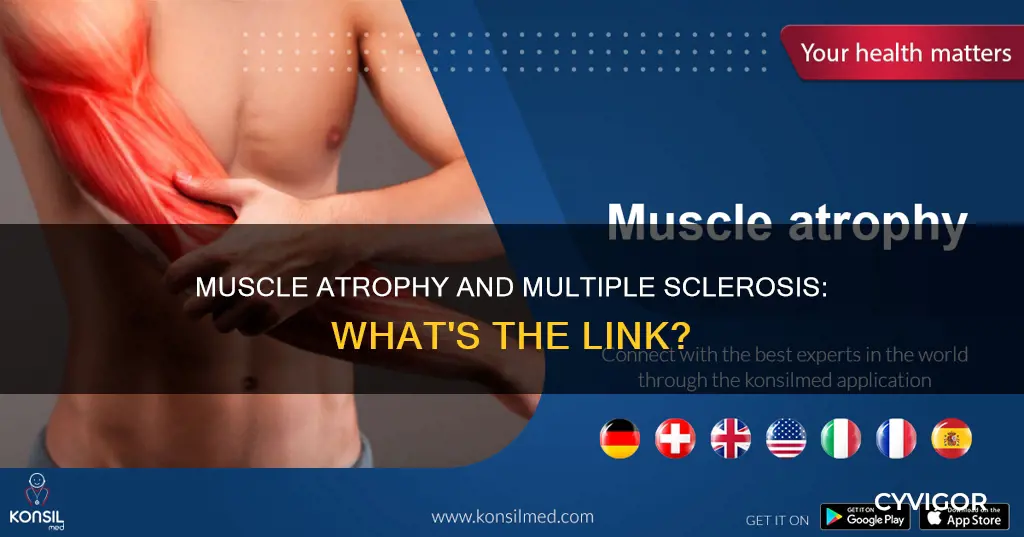 can multiple sclerosis cause muscle atrophy