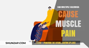 Muscle Pain and Multiple Sclerosis: What's the Link?