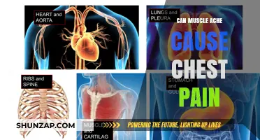 Muscle Aches: Can They Cause Chest Pain?