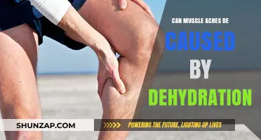 Dehydration and Muscle Aches: What's the Link?