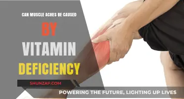 Muscle Aches: Vitamin Deficiency or Something More?