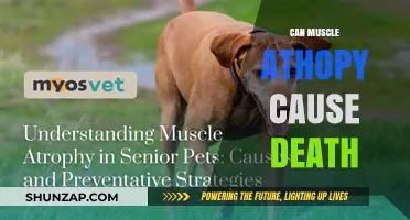 Muscle Atrophy: A Slow Killer?