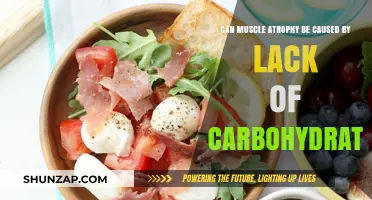 Carbohydrate Deprivation: A Cause for Muscle Atrophy?