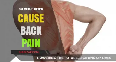 Muscle Atrophy and Back Pain: Is There a Link?