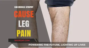 Muscle Atrophy and Leg Pain: What's the Connection?